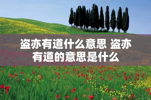 盗亦有道什么意思 盗亦有道的意思是什么