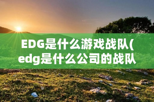 EDG是什么游戏战队(edg是什么公司的战队)