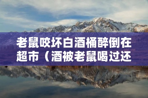 老鼠咬坏白酒桶醉倒在超市(酒被老鼠喝过还能喝吗)