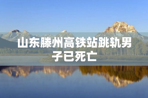 山东滕州高铁站跳轨男子已死亡
