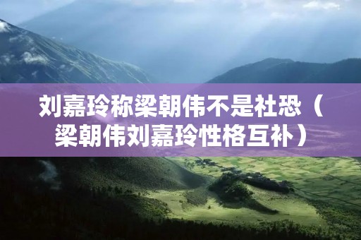 刘嘉玲称梁朝伟不是社恐(梁朝伟刘嘉玲性格互补)