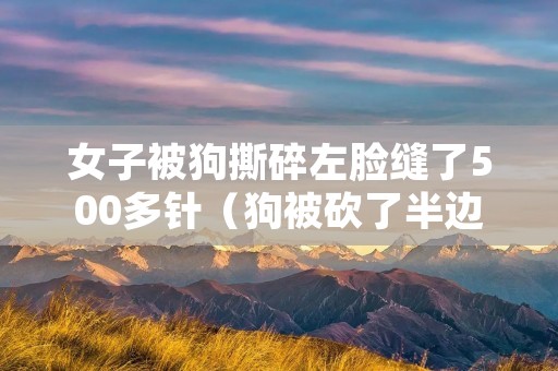 女子被狗撕碎左脸缝了500多针(狗被砍了半边脸)
