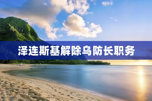 泽连斯基解除乌防长职务