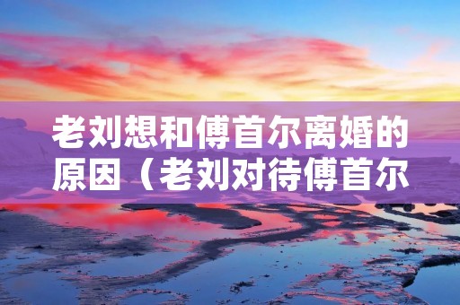 老刘想和傅首尔离婚的原因(老刘对待傅首尔)
