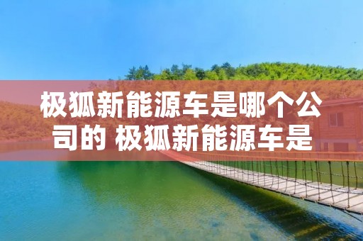 极狐新能源车是哪个公司的 极狐新能源车是什么牌子