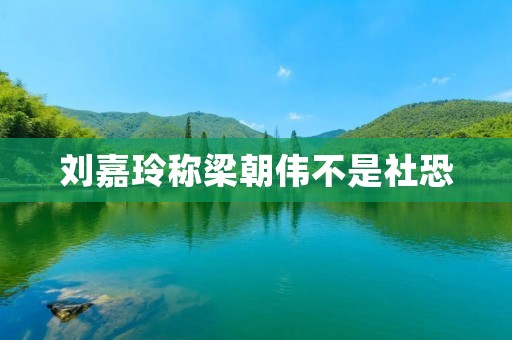 刘嘉玲称梁朝伟不是社恐
