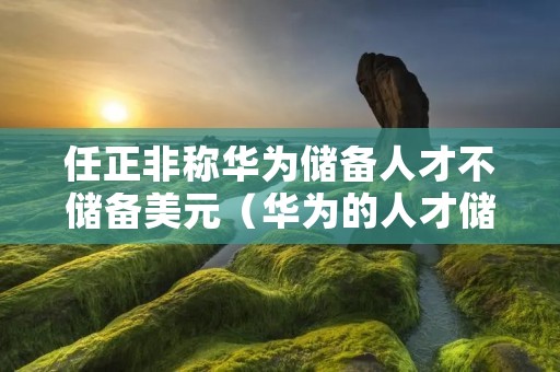 任正非称华为储备人才不储备美元(华为的人才储备)
