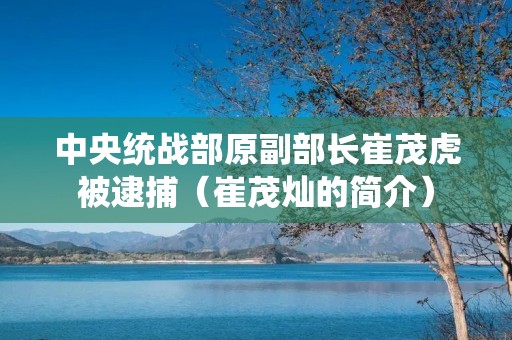 中央统战部原副部长崔茂虎被逮捕(崔茂灿的简介)