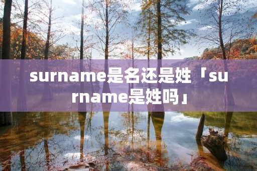 surname是名还是姓「surname是姓吗」