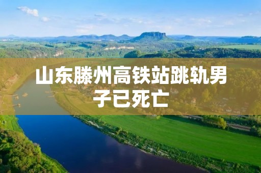 山东滕州高铁站跳轨男子已死亡