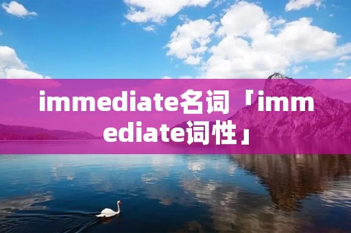 immediate名词「immediate词性」 immediate名词「immediate词性」
