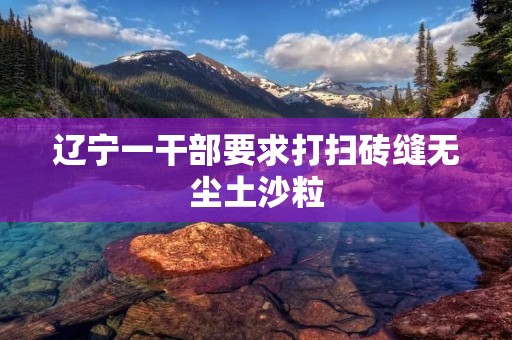 辽宁一干部要求打扫砖缝无尘土沙粒