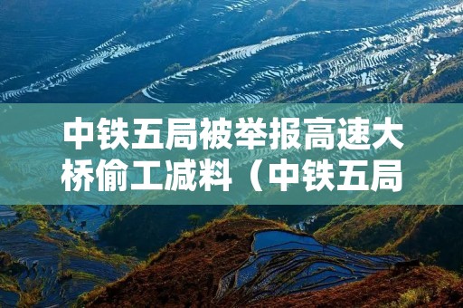 中铁五局被举报高速大桥偷工减料(中铁五局举报电话查询 大全中)