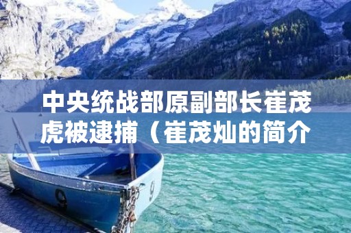 中央统战部原副部长崔茂虎被逮捕(崔茂灿的简介)