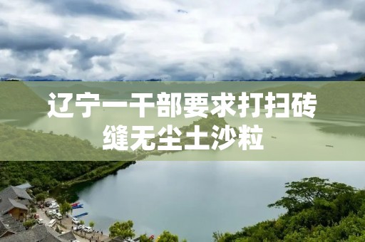 辽宁一干部要求打扫砖缝无尘土沙粒