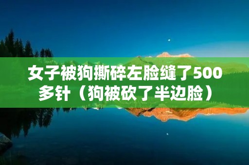 女子被狗撕碎左脸缝了500多针(狗被砍了半边脸)