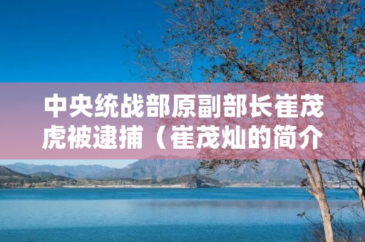 中央统战部原副部长崔茂虎被逮捕(崔茂灿的简介)