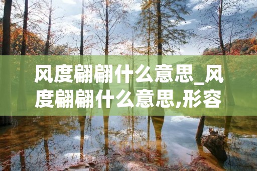 风度翩翩什么意思_风度翩翩什么意思,形容中性女合适吗
