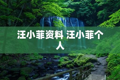 汪小菲资料 汪小菲个人
