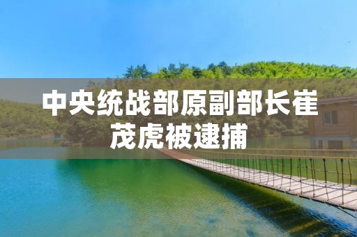 中央统战部原副部长崔茂虎被逮捕