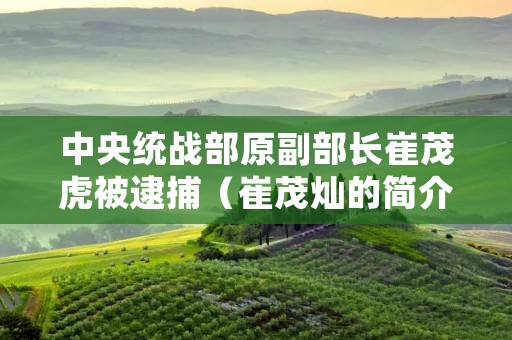 中央统战部原副部长崔茂虎被逮捕（崔茂灿的简介）