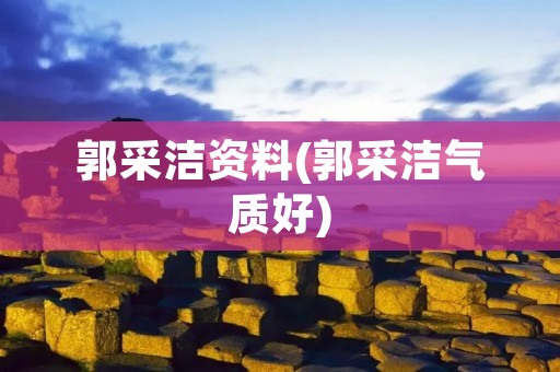 郭采洁资料(郭采洁气质好) 郭采洁资料(郭采洁气质好)