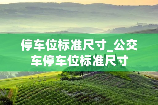 停车位标准尺寸_公交车停车位标准尺寸