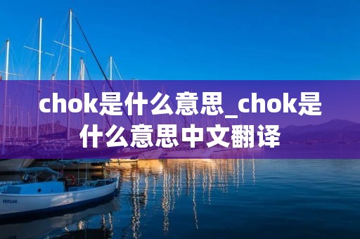 chok是什么意思_chok是什么意思中文翻译 chok是什么意思_chok是什么意思中文翻译