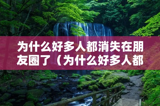 为什么好多人都消失在朋友圈了（为什么好多人都消失在朋友圈了还能看到）