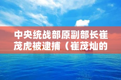 中央统战部原副部长崔茂虎被逮捕(崔茂灿的简介) 中央统战部原副部长崔茂虎被逮捕(崔茂灿的简介)