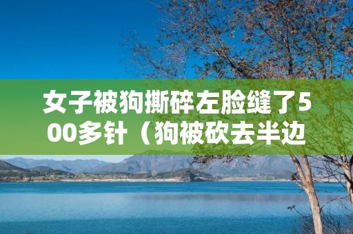 女子被狗撕碎左脸缝了500多针（狗被砍去半边脸）