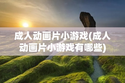 成人动画片小游戏(成人动画片小游戏有哪些)