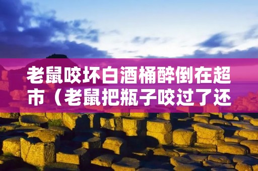 老鼠咬坏白酒桶醉倒在超市（老鼠把瓶子咬过了还能喝吗?）