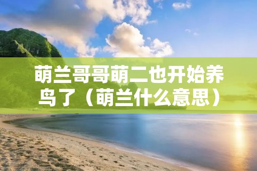 萌兰哥哥萌二也开始养鸟了(萌兰什么意思)