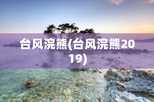 台风浣熊(台风浣熊2019) 台风浣熊(台风浣熊2019)