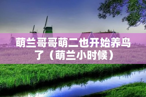 萌兰哥哥萌二也开始养鸟了(萌兰小时候)