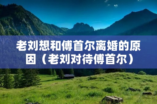 老刘想和傅首尔离婚的原因(老刘对待傅首尔)