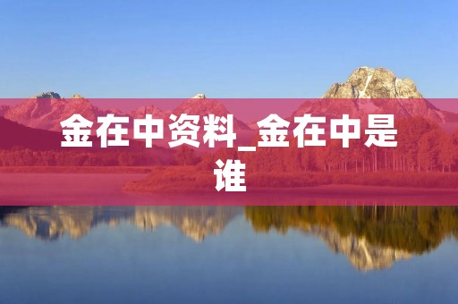 金在中资料_金在中是谁