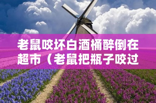 老鼠咬坏白酒桶醉倒在超市(老鼠把瓶子咬过了还能喝吗?)