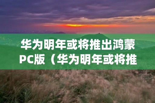 华为明年或将推出鸿蒙PC版(华为明年或将推出鸿蒙pc版系统)