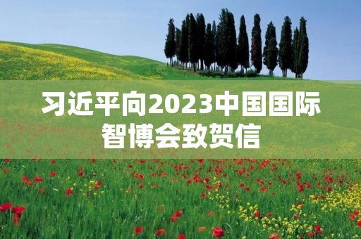 习近平向2023中国国际智博会致贺信