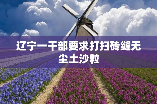 辽宁一干部要求打扫砖缝无尘土沙粒