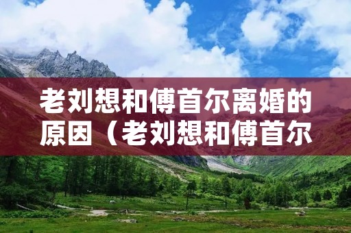 老刘想和傅首尔离婚的原因(老刘想和傅首尔离婚的原因是)