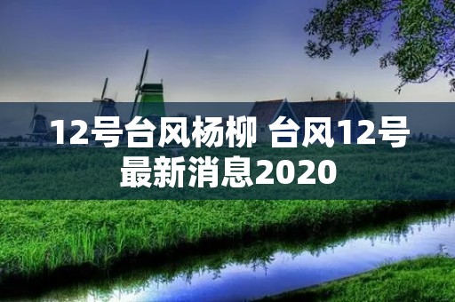 12号台风杨柳 台风12号最新消息2020