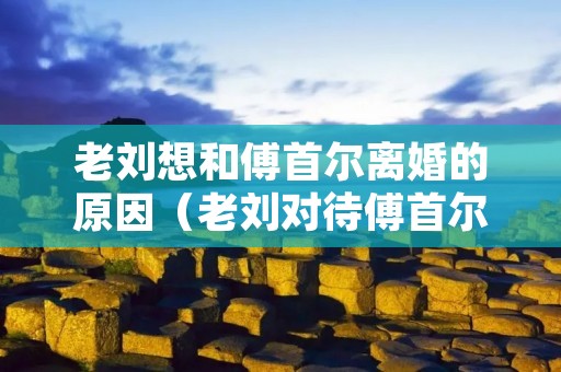 老刘想和傅首尔离婚的原因(老刘对待傅首尔)