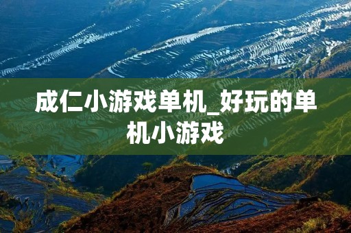 成仁小游戏单机_好玩的单机小游戏