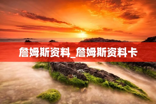 詹姆斯资料_詹姆斯资料卡