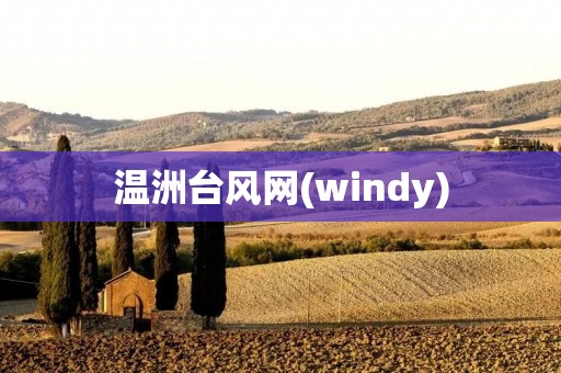 温洲台风网(windy) 温洲台风网(windy)
