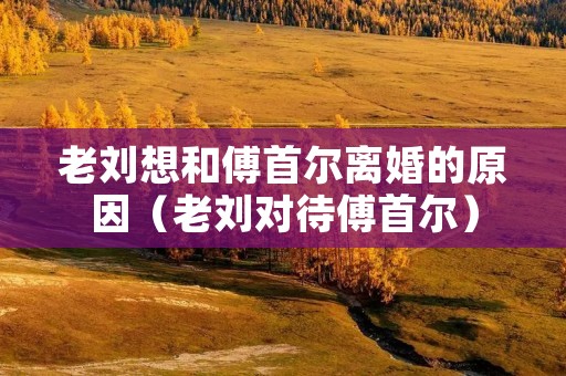 老刘想和傅首尔离婚的原因(老刘对待傅首尔)