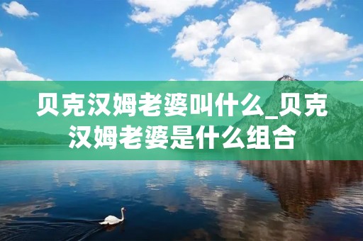 贝克汉姆老婆叫什么_贝克汉姆老婆是什么组合